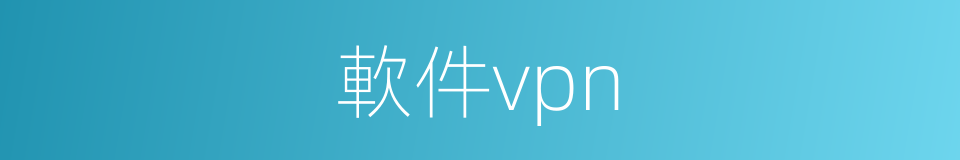 軟件vpn的同義詞