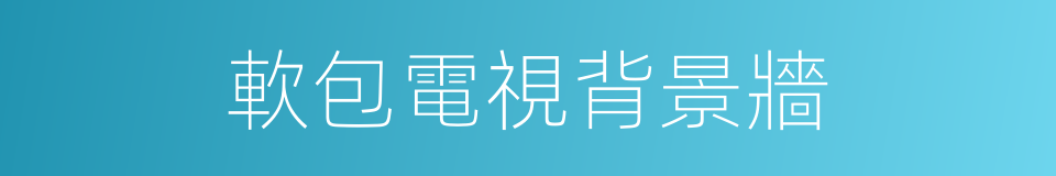 軟包電視背景牆的同義詞