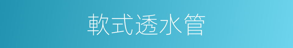 軟式透水管的同義詞