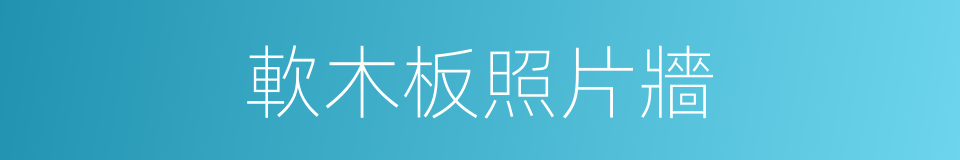 軟木板照片牆的同義詞