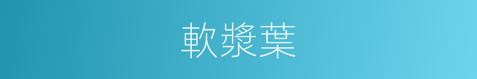 軟漿葉的同義詞