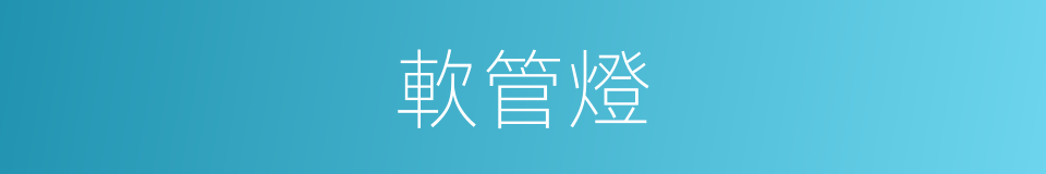 軟管燈的同義詞