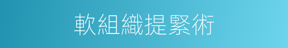 軟組織提緊術的同義詞