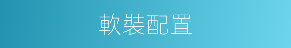 軟裝配置的同義詞