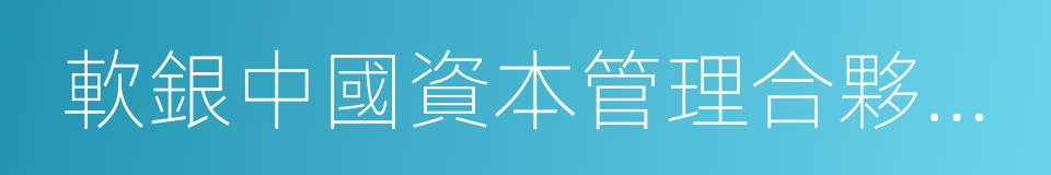 軟銀中國資本管理合夥人宋安瀾的同義詞