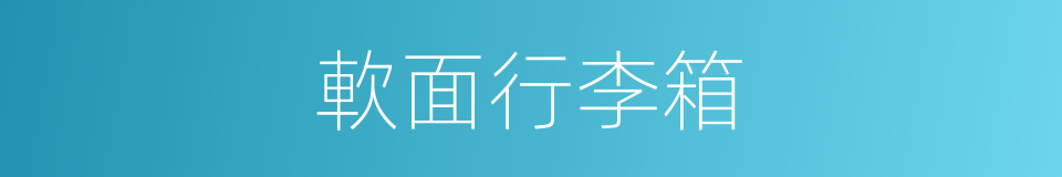 軟面行李箱的同義詞