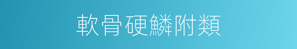 軟骨硬鱗附類的同義詞