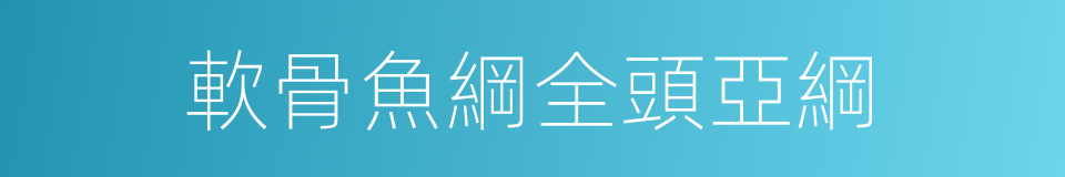 軟骨魚綱全頭亞綱的同義詞