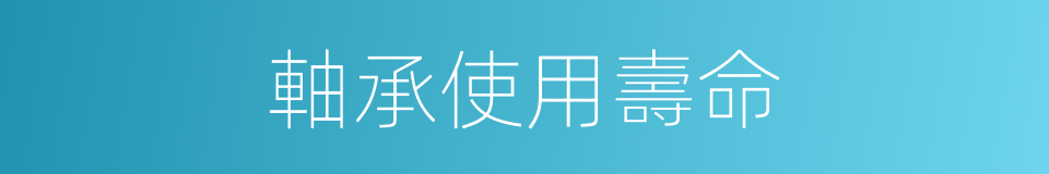 軸承使用壽命的同義詞