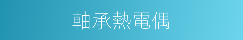 軸承熱電偶的同義詞