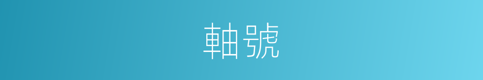 軸號的意思