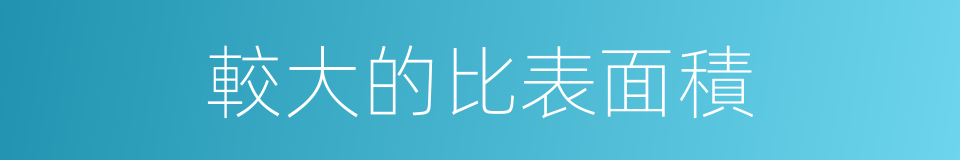 較大的比表面積的同義詞