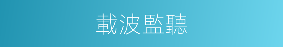 載波監聽的同義詞
