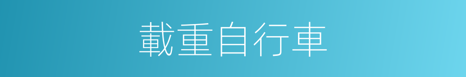 載重自行車的同義詞