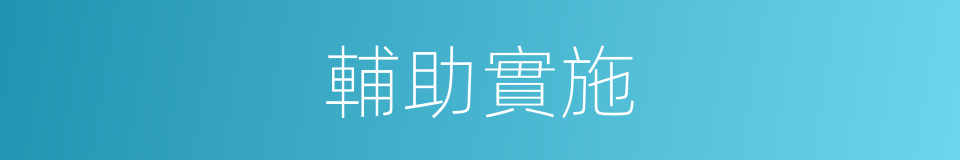 輔助實施的同義詞