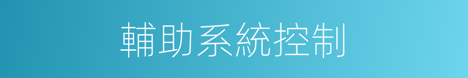 輔助系統控制的同義詞