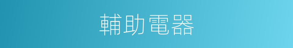 輔助電器的同義詞