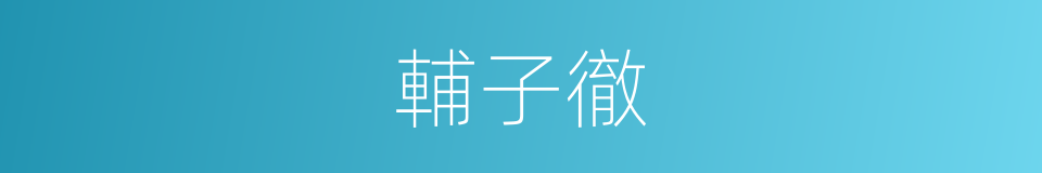 輔子徹的同義詞