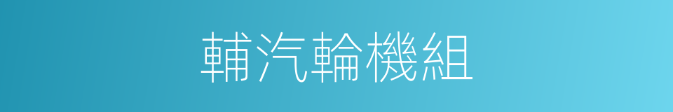 輔汽輪機組的同義詞