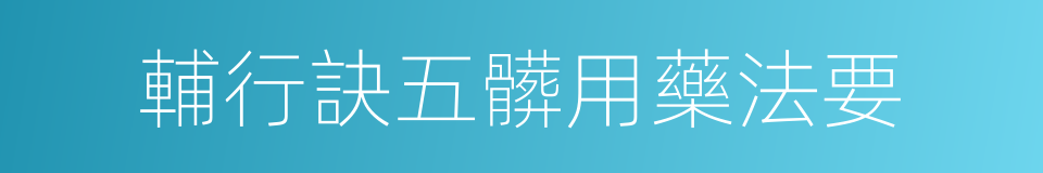 輔行訣五髒用藥法要的同義詞