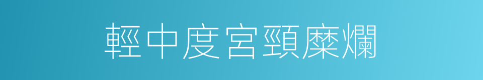 輕中度宮頸糜爛的同義詞