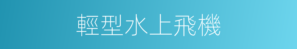 輕型水上飛機的同義詞