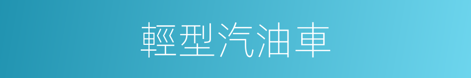 輕型汽油車的同義詞