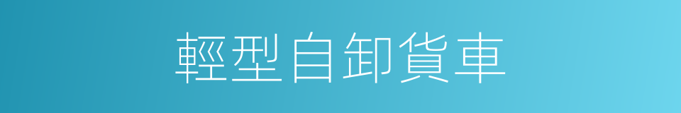 輕型自卸貨車的同義詞