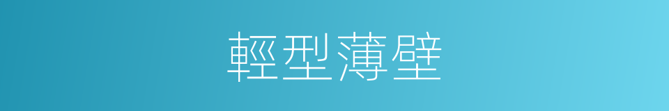 輕型薄壁的同義詞