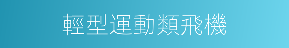 輕型運動類飛機的同義詞