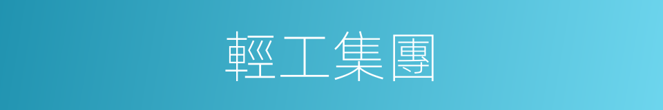 輕工集團的同義詞