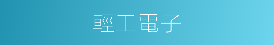 輕工電子的同義詞