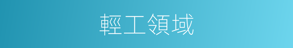 輕工領域的同義詞