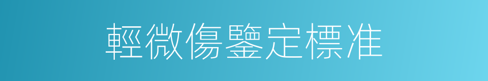 輕微傷鑒定標准的同義詞