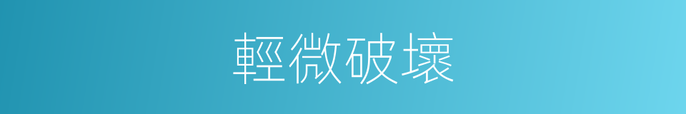 輕微破壞的同義詞