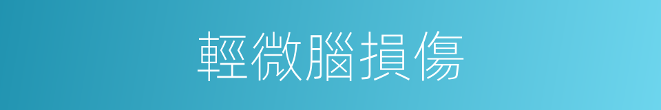 輕微腦損傷的同義詞