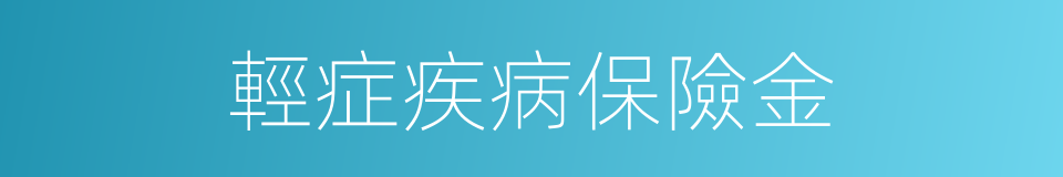 輕症疾病保險金的同義詞