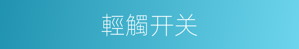 輕觸开关的同義詞