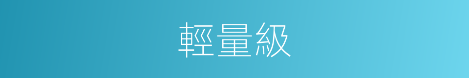 輕量級的意思