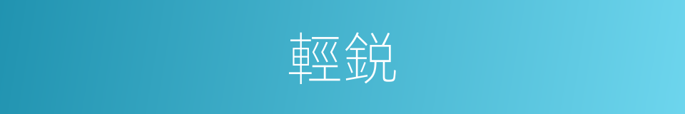 輕鋭的意思