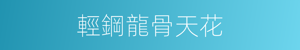 輕鋼龍骨天花的同義詞