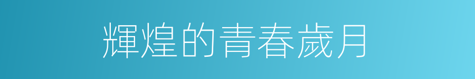 輝煌的青春歲月的同義詞