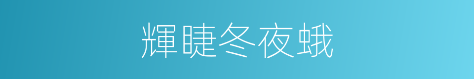 輝睫冬夜蛾的同義詞