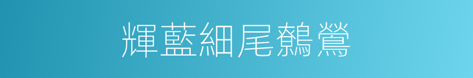 輝藍細尾鷯鶯的同義詞