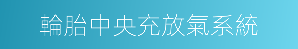 輪胎中央充放氣系統的同義詞