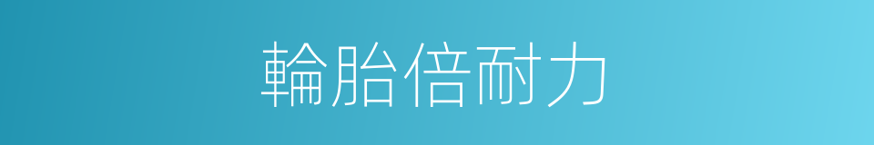 輪胎倍耐力的同義詞