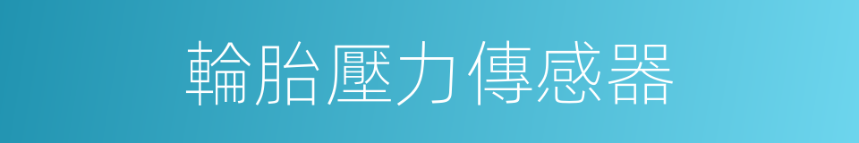 輪胎壓力傳感器的同義詞