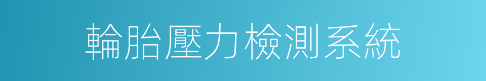 輪胎壓力檢測系統的同義詞