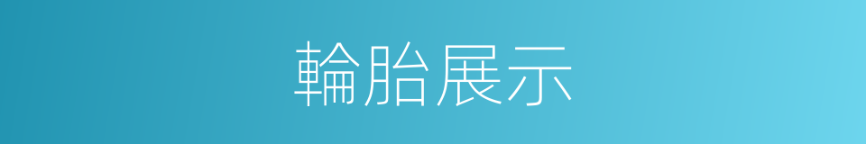 輪胎展示的同義詞