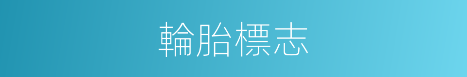 輪胎標志的同義詞